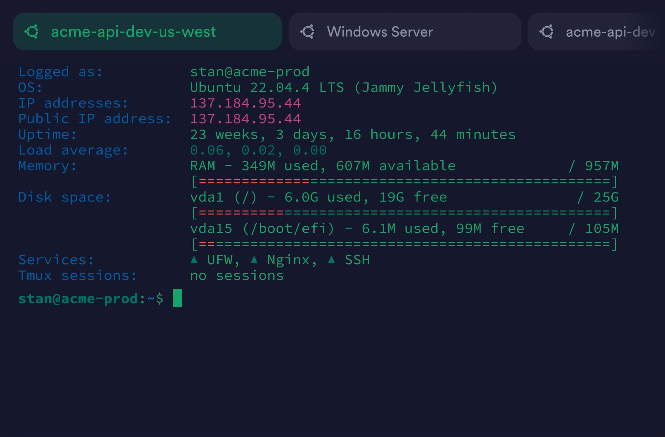 低价购买 Termius Pro